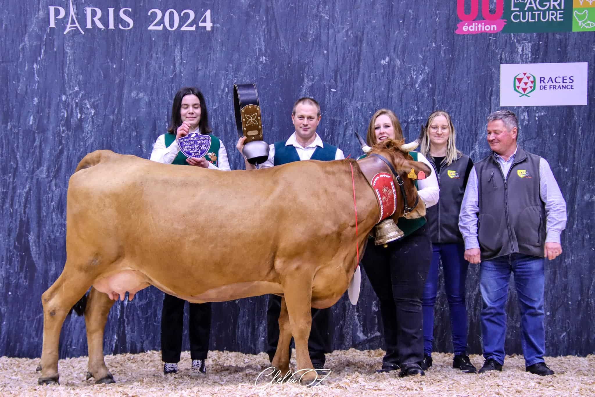 GAEC de Couterloz a présenté Pivoine (vache tarentaise)